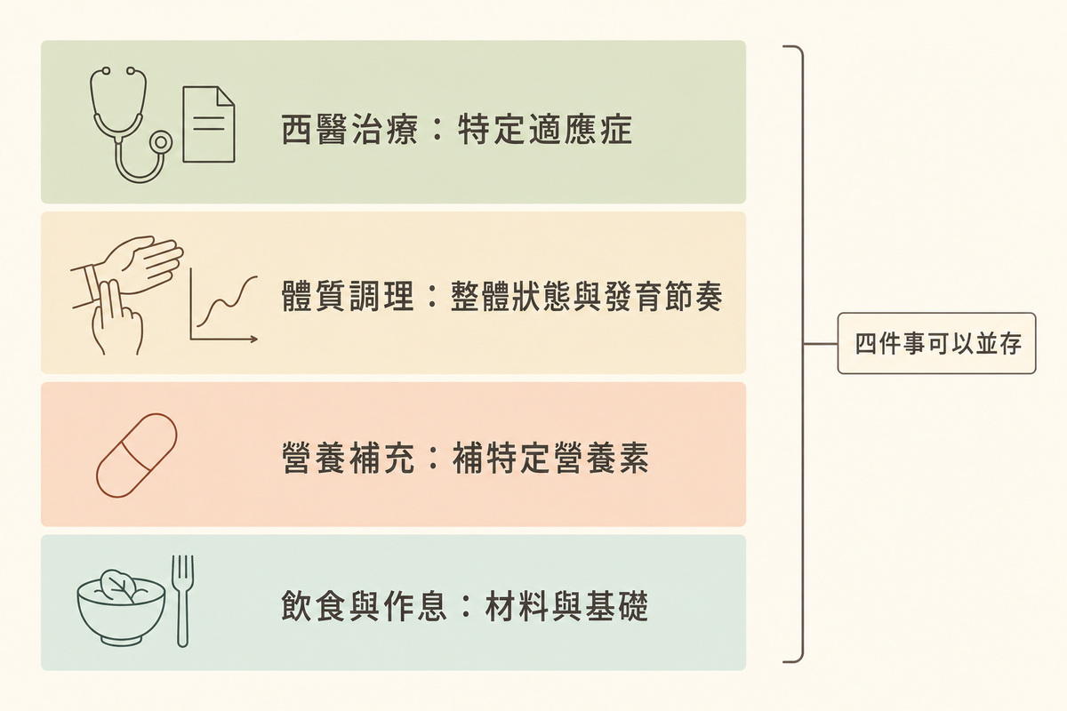 四種長高選項各自處理的層次