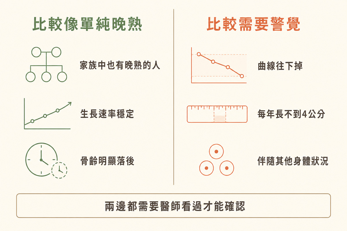 分辨單純晚熟與需要檢查的線索對照